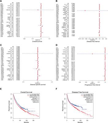 Pan-Cancer Analysis of the Oncogenic and Immunological Role of Solute Carrier Family 6 Member 8 (SLC6A8)